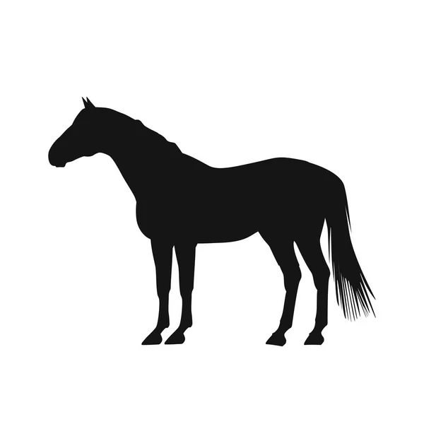 Silhouette Cheval Sur Fond Blanc — Image vectorielle