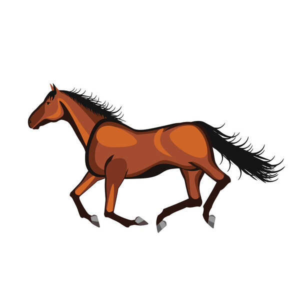 Лошадь бежит на белом фоне
