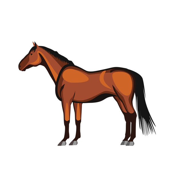 Лошадиное животное на белом фоне
