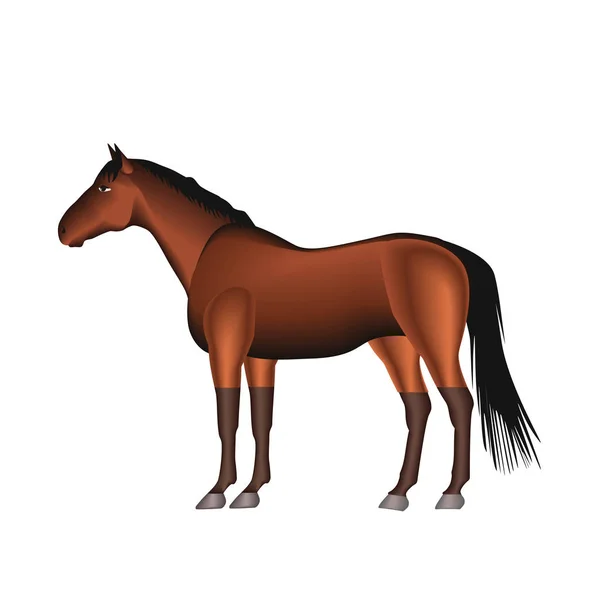 Pferd Tier Auf Weißem Hintergrund — Stockvektor