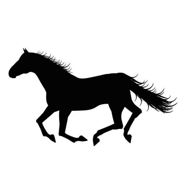 Silueta Para Correr Caballo Sobre Fondo Blanco — Archivo Imágenes Vectoriales