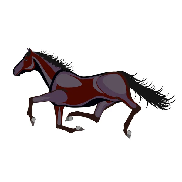 Лошадь Бежит Белом Фоне — стоковый вектор