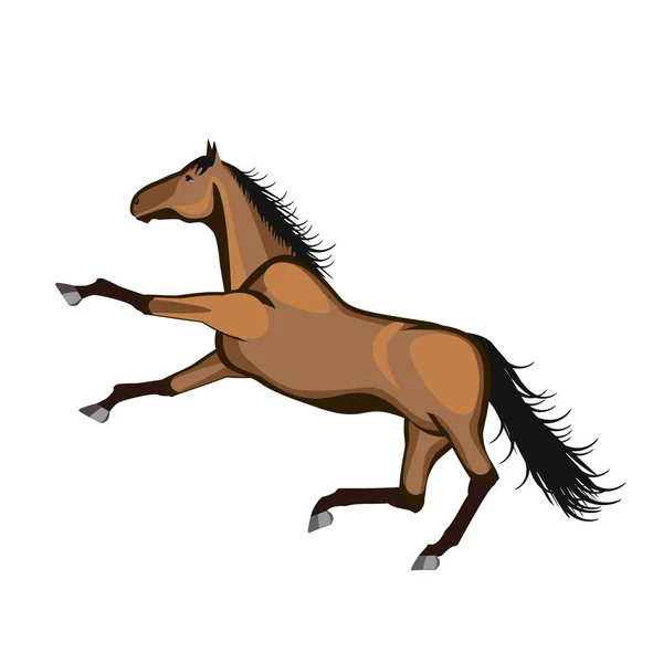 Caballo Corriendo Sobre Fondo Blanco — Vector de stock