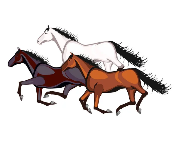 Caballos Corriendo Sobre Fondo Blanco — Archivo Imágenes Vectoriales