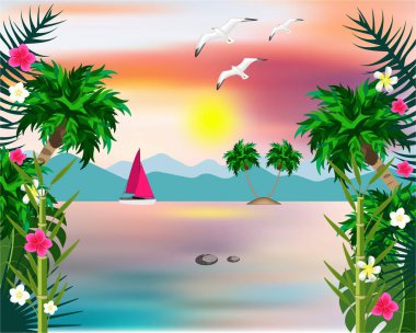 Deniz çiçekleri bitkiler plaj arka plan