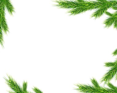 Noel ağacı dalları arka dekor