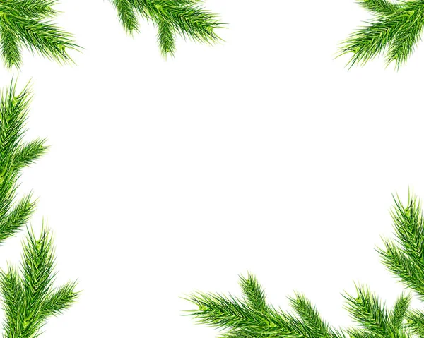 Christmas Tree Branches Background Decor — Stock Vector