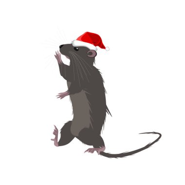 2020 şapka sembolü rat