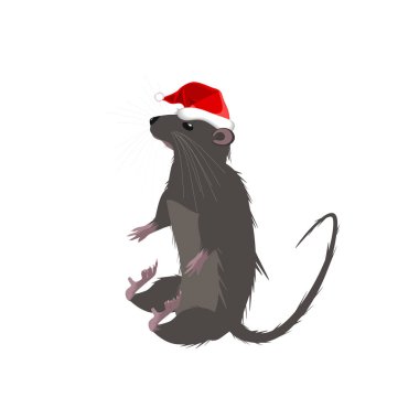 2020 şapka sembolü rat