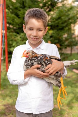 Elinde tavuk olan bir çocuk. Çiftçilik. Evde tavuk yetiştiriyorum. Köyde hayat. Yüksek kalite fotoğraf