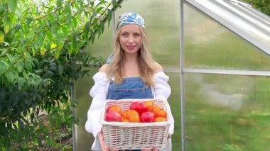 Bir kadın hasatını gösterir. Ev yapımı domateslerin gösterimi. Sepette domates. Domatesli kadın. Yüksek kaliteli FullHD görüntüler