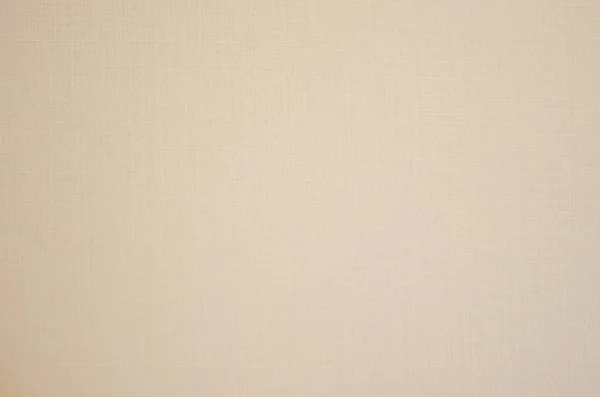 Rustikale Einfache Graue Pappe Hintergrund — Stockfoto
