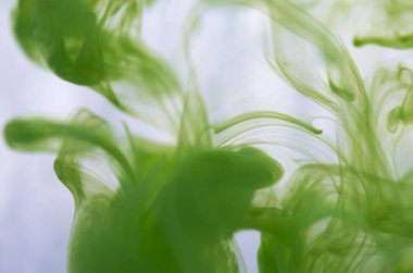 yeşil beyaz arka plan üzerinde duman bulutları