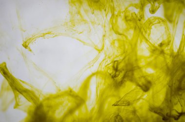 yeşil beyaz arka plan üzerinde duman bulutları