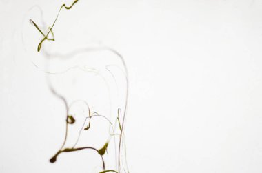 Su, mürekkep lekesi, arka plan akrilik renkler 