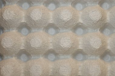 portre görünümünde boş yumurta kabı