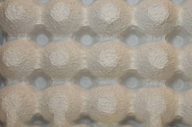 portre görünümünde boş yumurta kabı