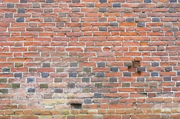 Gamla Skadade Tegelvägg Med Betong — Stockfoto