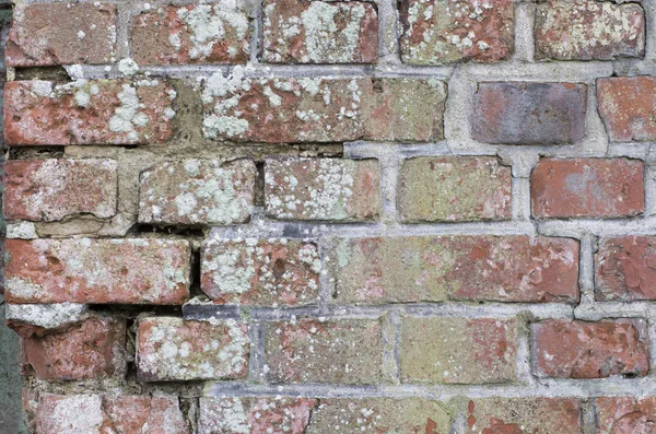 eski hasarlı tuğla duvar beton ile