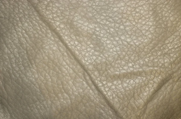 Yumuşak Gri Deri Yüzeyinin Closeup Görünümü — Stok fotoğraf