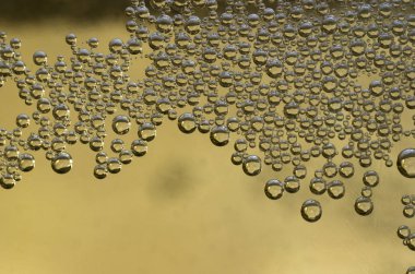 bira cam kabarcıkları closeup görünümü