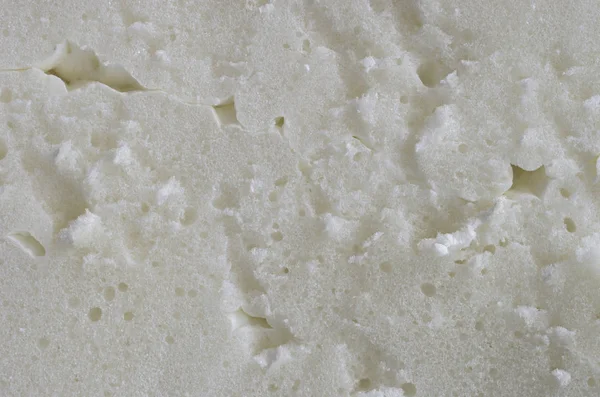 portre görünümünde, beyaz poliüretan köpük kesim