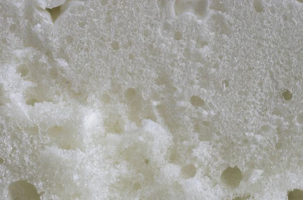 portre görünümünde, beyaz poliüretan köpük kesim