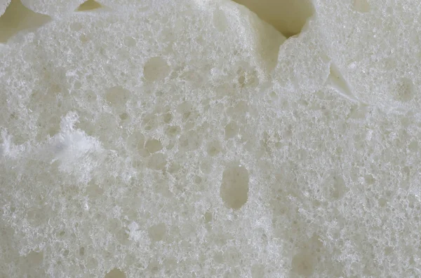 portre görünümünde, beyaz poliüretan köpük kesim