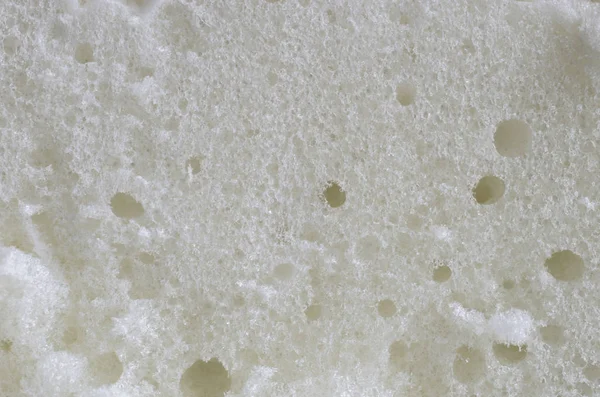 portre görünümünde, beyaz poliüretan köpük kesim