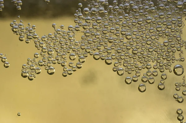 bira cam kabarcıkları closeup görünümü