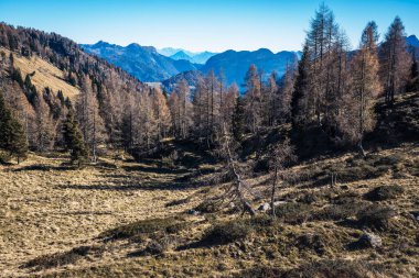 Dolomite dağlarının güzel sonbahar manzarası