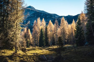 Dolomite dağlarının güzel sonbahar manzarası