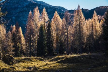 Dolomite dağlarının güzel sonbahar manzarası