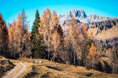 Dolomite dağlarının güzel sonbahar manzarası
