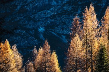 Dolomite dağlarının güzel sonbahar manzarası