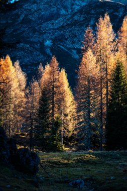 Dolomite dağlarının güzel sonbahar manzarası