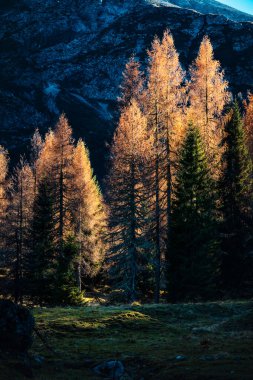 Dolomite dağlarının güzel sonbahar manzarası