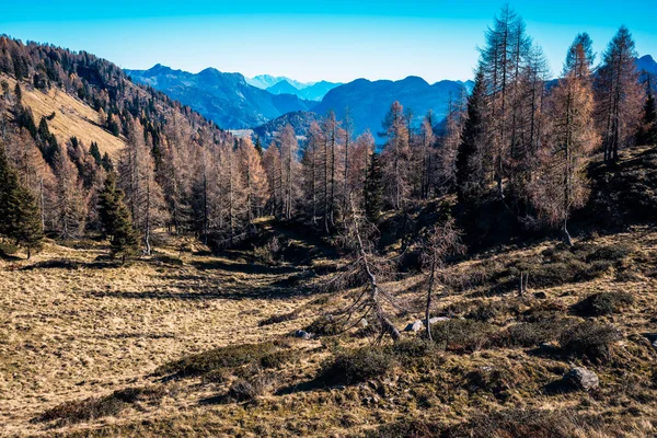 Dolomite dağlarının güzel sonbahar manzarası