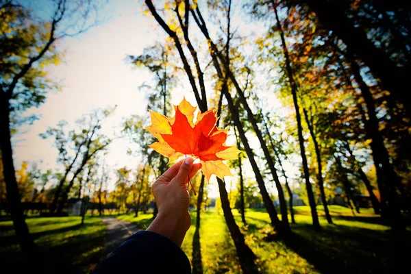 Promenade Dans Parc Ville Automne Week Ends — Photo