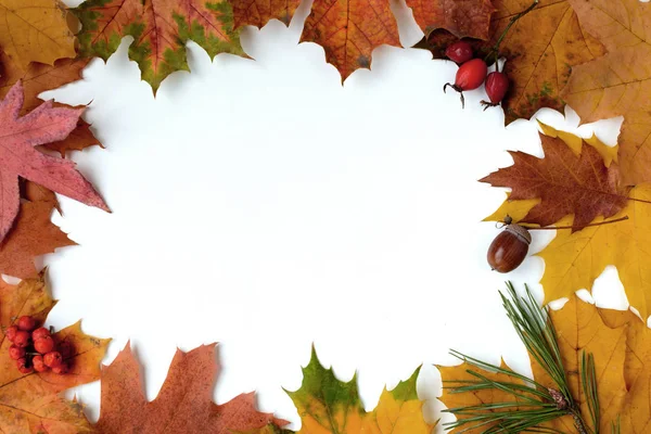 Fond Automne Avec Des Feuilles Colorées Sur Tableau Blanc — Photo