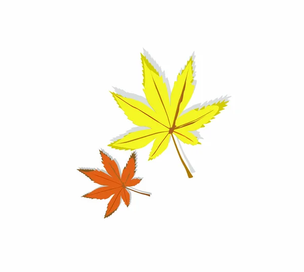 Colored Autumn Leaves Isolated White Background — Stock Vector