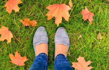 Zloti yaprakları ile çim üzerinde ayakkabı Kadın ayakları. Yürü, yürü. Sonbahar sezonu.