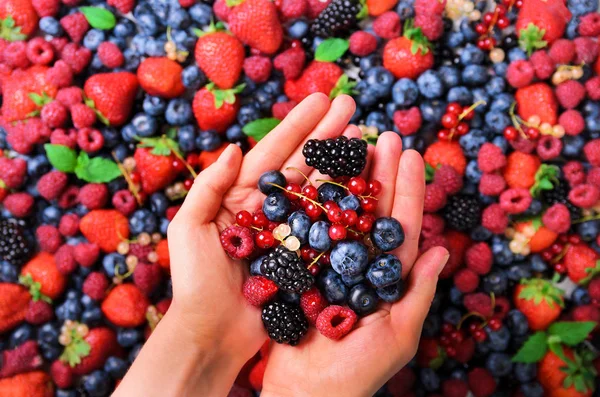 Manos de mujer sosteniendo bayas frescas orgánicas sobre el fondo de fresas, arándanos, moras, grosellas, hojas de menta. Vista superior. Comida de verano. Concepto de alimentación vegana, vegetariana y limpia . — Foto de Stock