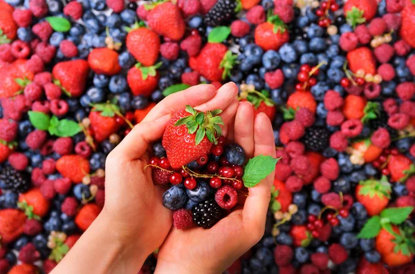 Женские руки держат органические свежие ягоды на фоне клубники, черники, ежевики, смородины, мятных листьев. Вид сверху. Летняя еда. Веганская, европейская и экологически чистая еда . — стоковое фото