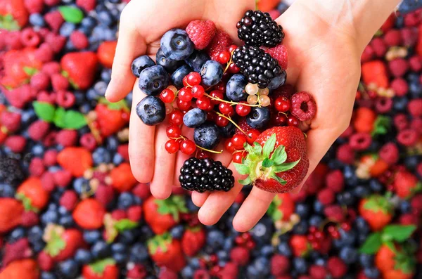 Женские руки держат органические свежие ягоды на фоне клубники, черники, ежевики, смородины, мятных листьев. Вид сверху. Летняя еда. Веганская, европейская и экологически чистая еда . — стоковое фото