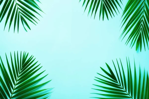 Tropical palm listy na pastelově modré pozadí. Minimální letní koncept. Creative ploché ležela kopie prostoru. Pohled shora zelené listy na výrazných pastelových papíru — Stock fotografie