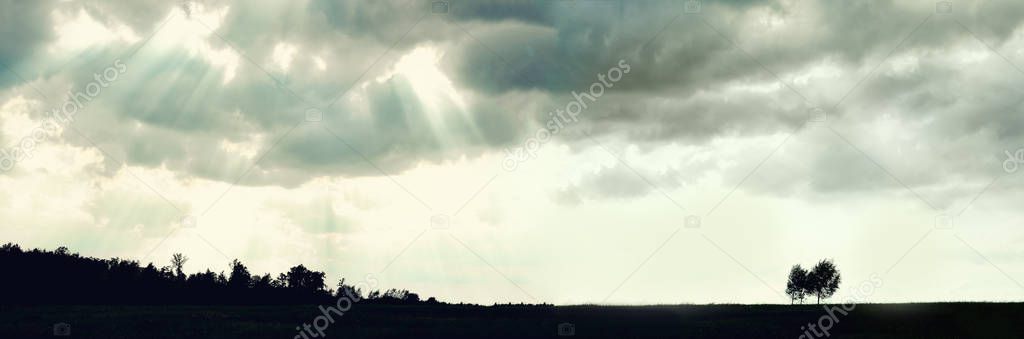 Minimalist single tree silhouette. Banner. Concept of loneliness, depression, escape, friendship, support, care, marriage. Nature background with copy space. Two trees alone against cloudy sky