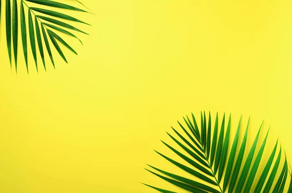 Foglie di palma tropicale su sfondo giallo pastello. Concetto estivo minimo. Posa piatta creativa con spazio di copia. Vista dall'alto foglia verde su carta pastello pungente — Foto Stock