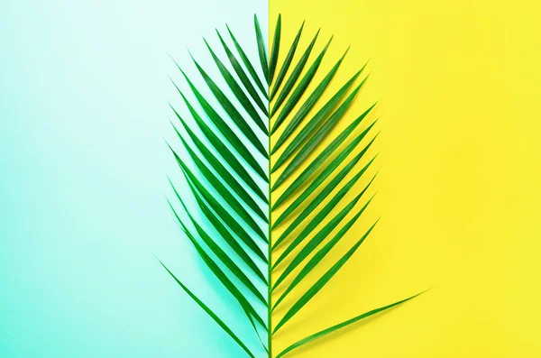 Concept d'été stylisé. Feuilles de palmier tropicales sur fond jaune et bleu. Nature minimale. Pose plate créative avec espace de copie. Vue du dessus — Photo