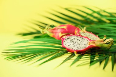 Pitahaya ya da ejderha meyve tropikal yeşil palmiye üzerinde sarı zemin üzerine bırakır. Uzay kopyalayın. Pop sanat tasarım, yaratıcı yaz konsepti.